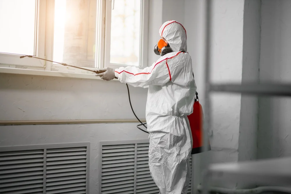 Professional mold remediation services in Decherd, TN